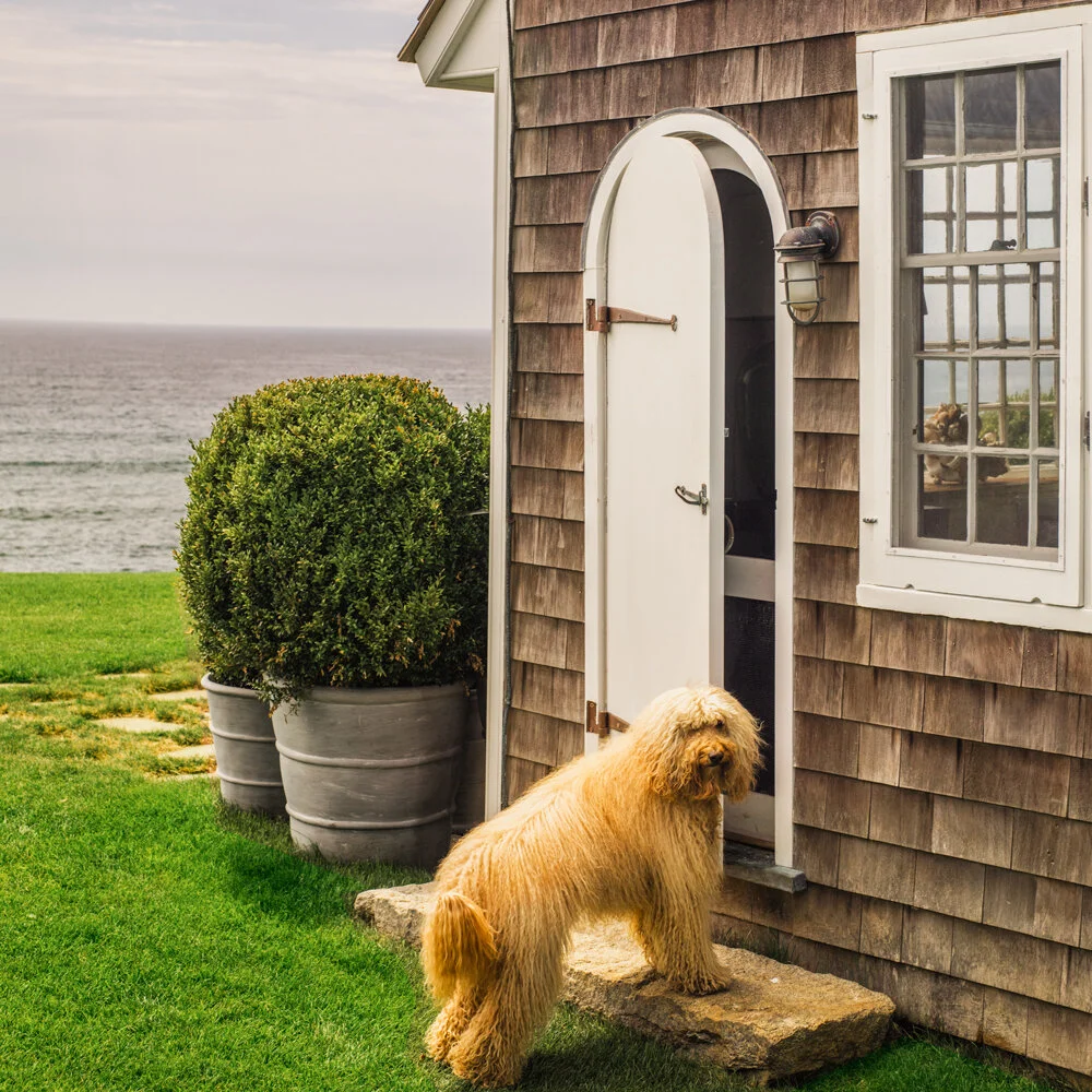 Conical Strapped Planter — Pennoyer Newman